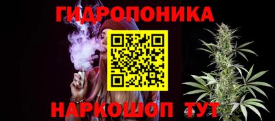 крисы Тверь