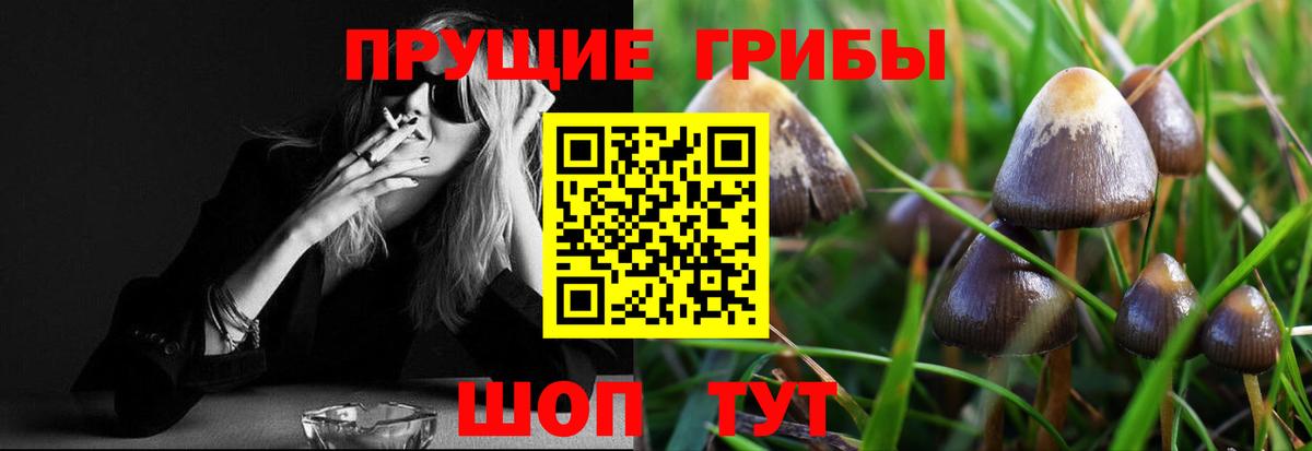 Таганрог  Галлюциногенные грибы GOLDEN TEACHER  Вход с VPN 